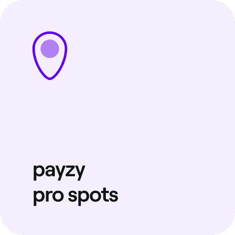 payzy pro spots