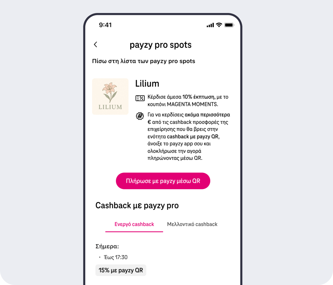 payzy pro spots βήμα 5